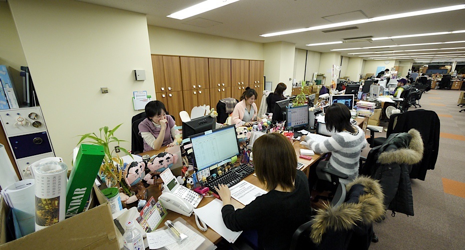 Company offices ladies