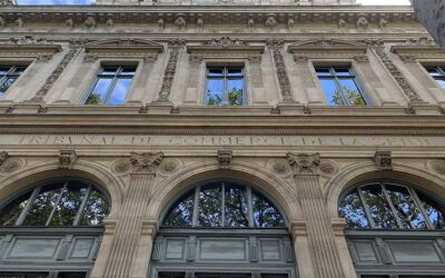 Launch of the new website